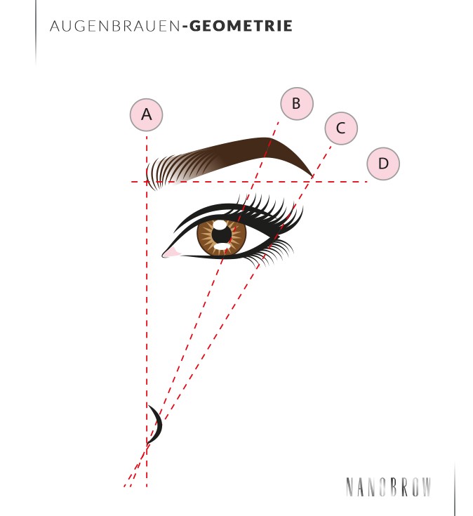 Methode der 3 Linien augenbrauen